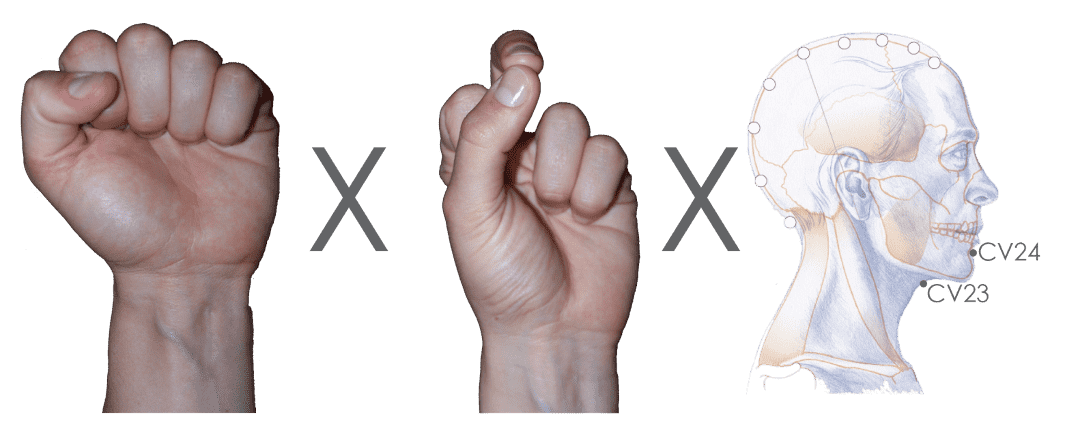 The Limbic Format, which uses the Finger Modes for Anatomy and Gland, and the Acu-points CV23 and CV24.